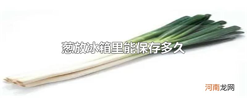 葱放冰箱里能保存多久优质