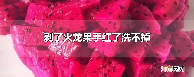 剥了火龙果手红了洗不掉优质