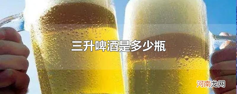 三升啤酒是多少瓶优质