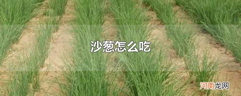 沙葱怎么吃优质