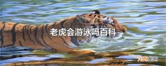 老虎会游泳吗百科优质