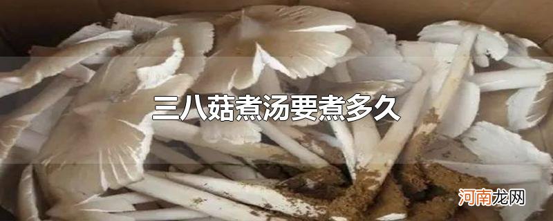 三八菇煮汤要煮多久优质