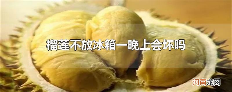 榴莲不放冰箱一晚上会坏吗优质