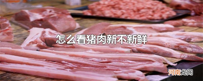 怎么看猪肉新不新鲜优质