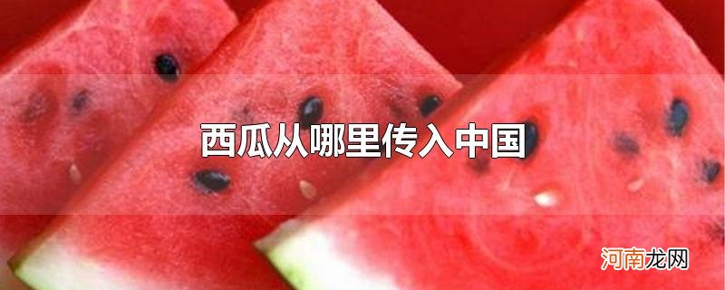 西瓜从哪里传入中国优质