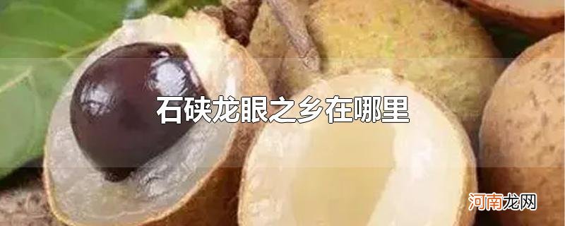 石硖龙眼之乡在哪里优质