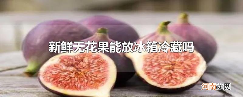 新鲜无花果能放冰箱冷藏吗优质