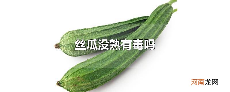 丝瓜没熟有毒吗优质