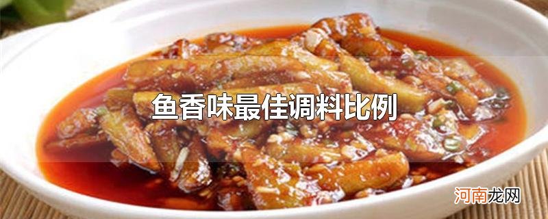 鱼香味最佳调料比例优质