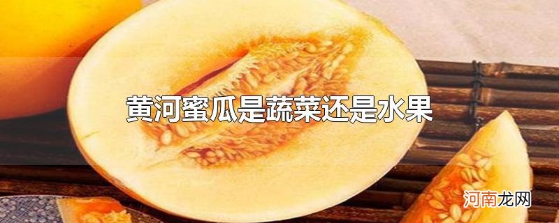 黄河蜜瓜是蔬菜还是水果优质