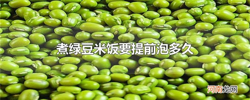 煮绿豆米饭要提前泡多久优质