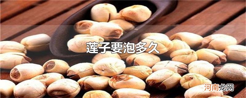 莲子要泡多久优质