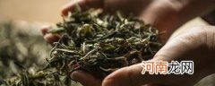 茶叶的历史起源以及文化优质