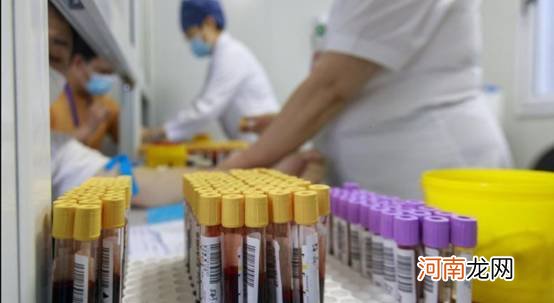 香港查获1500支血液样本，疑与“寄血验子”有关，内地人为何要验子