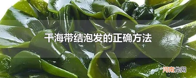 干海带结泡发的正确方法优质