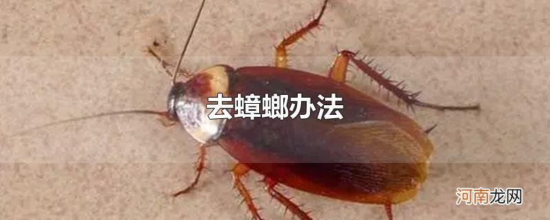 去蟑螂办法优质