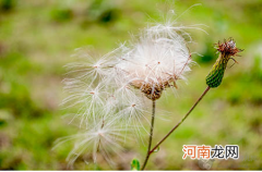 预产期快到了，好害怕生孩子，我妈偷偷告诉我