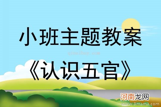 附教学反思 小班主题活动教案：五官总动员教案