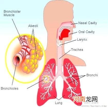 支气管炎有哪些治疗误区