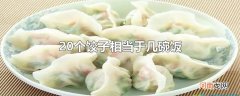 20个饺子相当于几碗饭优质