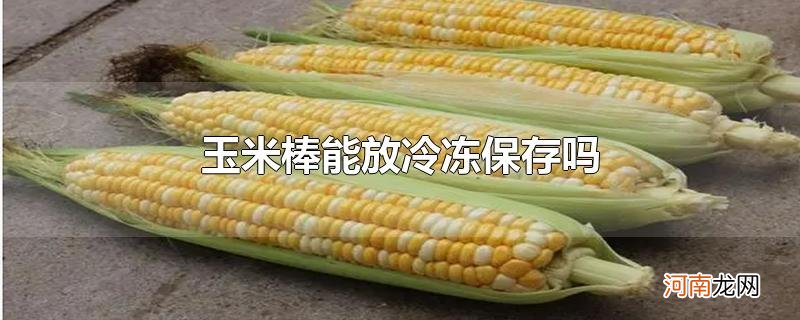 玉米棒能放冷冻保存吗优质