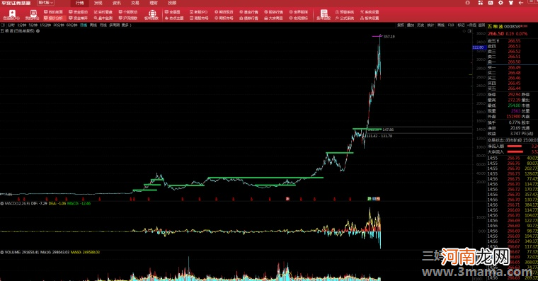 树的方向由风决定