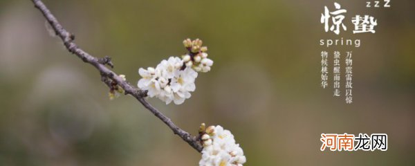 惊蛰人生寓意 惊蛰人生寓意是什么