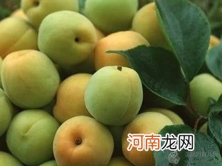 血糖高吃什么食物好