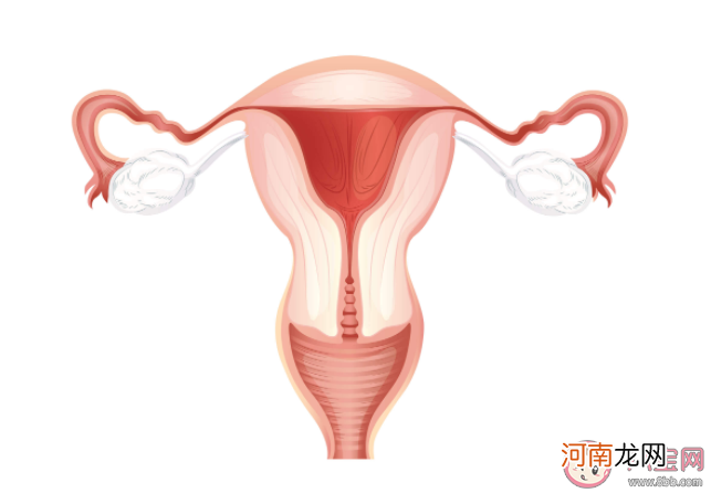 月经|只要来月经就一定会排卵吗 有排卵输卵管是不是就是通的