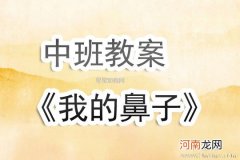 附教学反思 大班健康活动教案：保护鼻子教案