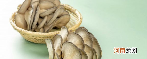 油炸平菇怎么做好吃 油炸平菇的做法