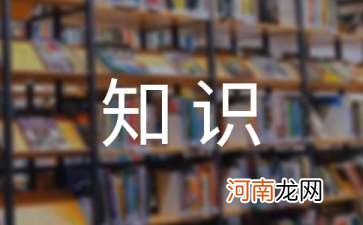 入门会计基础知识 会计入门