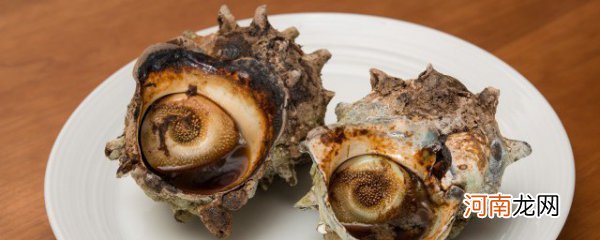 加拿大翡翠螺怎么吃 加拿大翡翠螺怎么做好吃