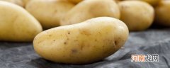 土豆有什么好吃的做法 土豆的烹饪方法