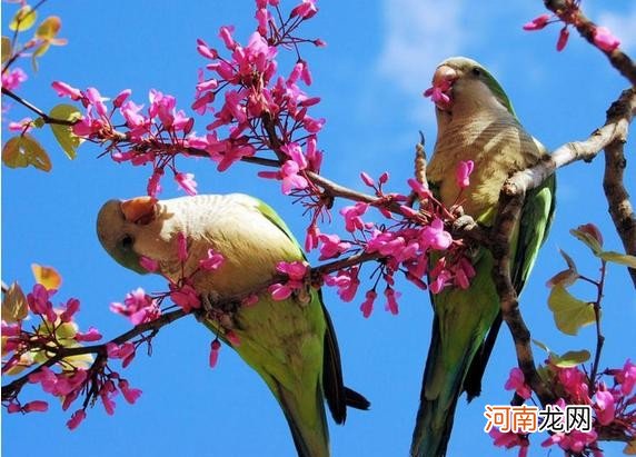 什么季节最容易生男孩 几月生男孩的几率大