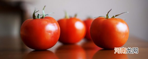 夏日西红柿减肥菜谱 瘦身贵在坚持