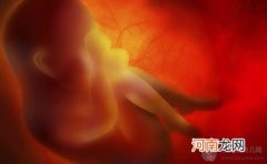 孕妇孕期可以吃猪肺吗