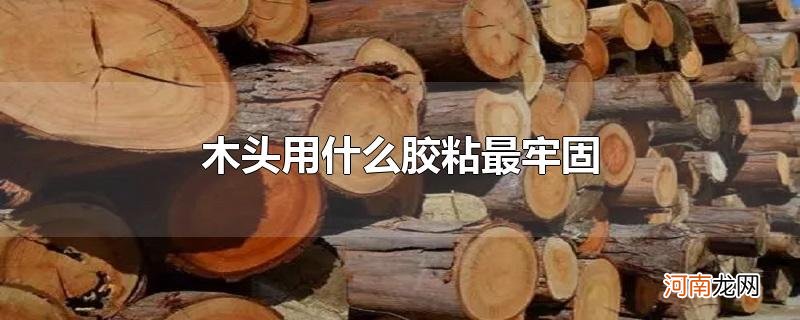 木头用什么胶粘最牢固优质