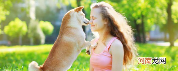 如何自己练习服务犬 自己怎么练习服务犬