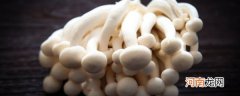 白玉菇和海鲜菇有什么区别 白玉菇和海鲜菇的区别分析