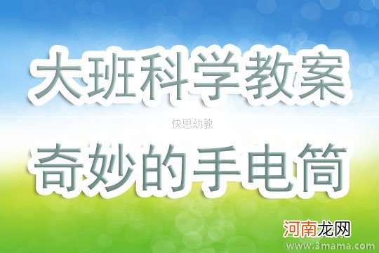 大班科学手电筒亮起来教案反思