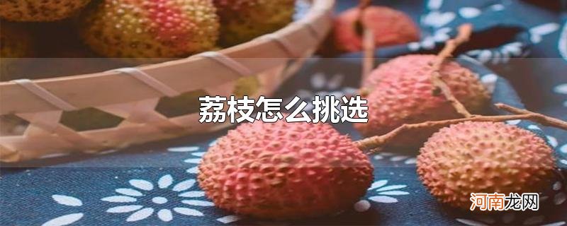 荔枝怎么挑选优质