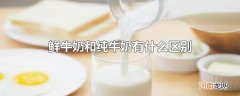 鲜牛奶和纯牛奶有什么区别优质