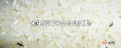 米虫离开米会自动死吗优质
