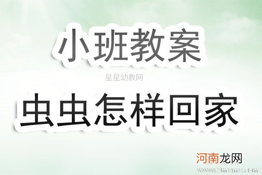 附教学反思 中班主题活动教案：虫虫虫虫爬教案