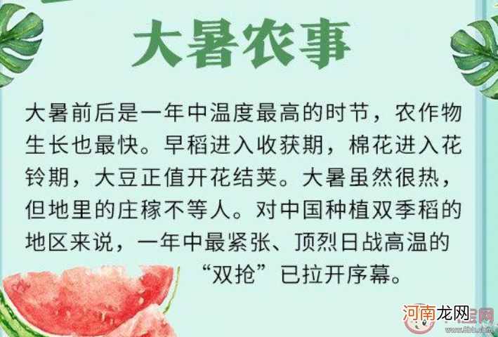 夏季最后一个节气|蚂蚁庄园夏季的最后一个节气是什么 小课堂7月23日答案最新