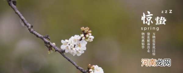 2022年惊蛰能祭祖吗 2022年惊蛰这天能不能祭祖