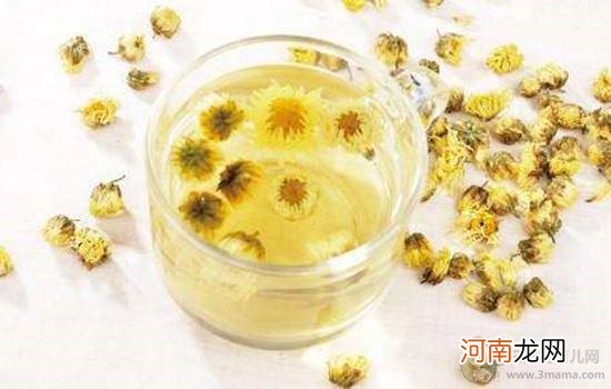 孕妇可以喝菊花茶吗 过量饮用会刺激胎动增加