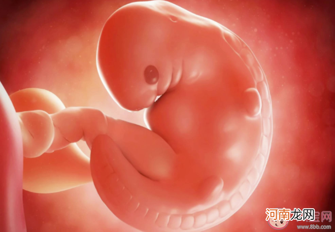 胎儿|胎儿会感觉孤单吗 胎儿最喜欢在孕妇肚子里做什么