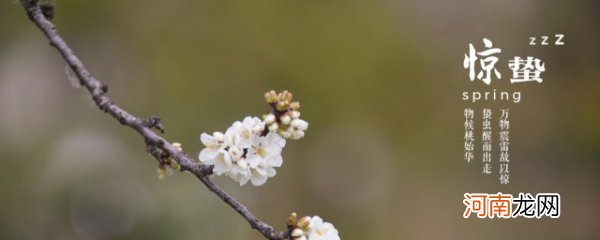 惊蛰是什么季节的节气 惊蛰的介绍